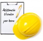 Asistencia técnica – por hora